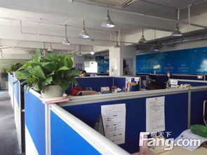 陸家嘴軟件園寫字樓出租 515平米正氣戶型，歡迎來電看房